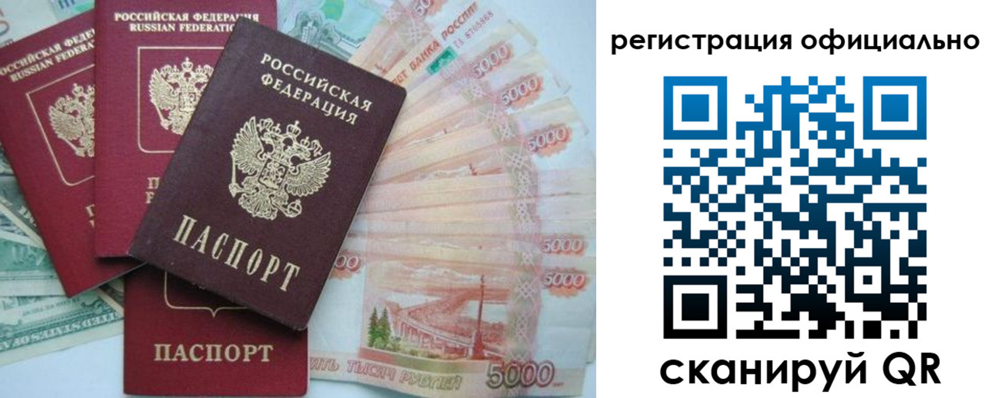 прописка для школы в Холмске
